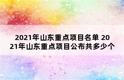 2021年山东重点项目名单 2021年山东重点项目公布共多少个